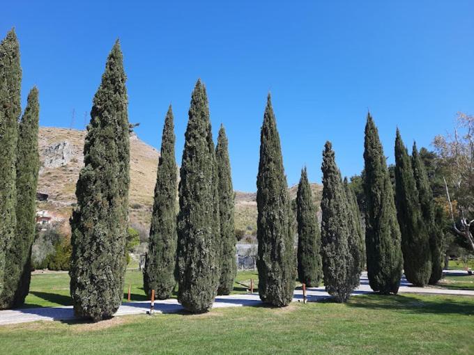 Gasthaus Il Borgo Della Marinella Amantea Exterior foto